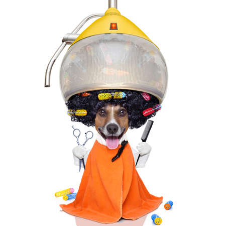 Peluquería canina